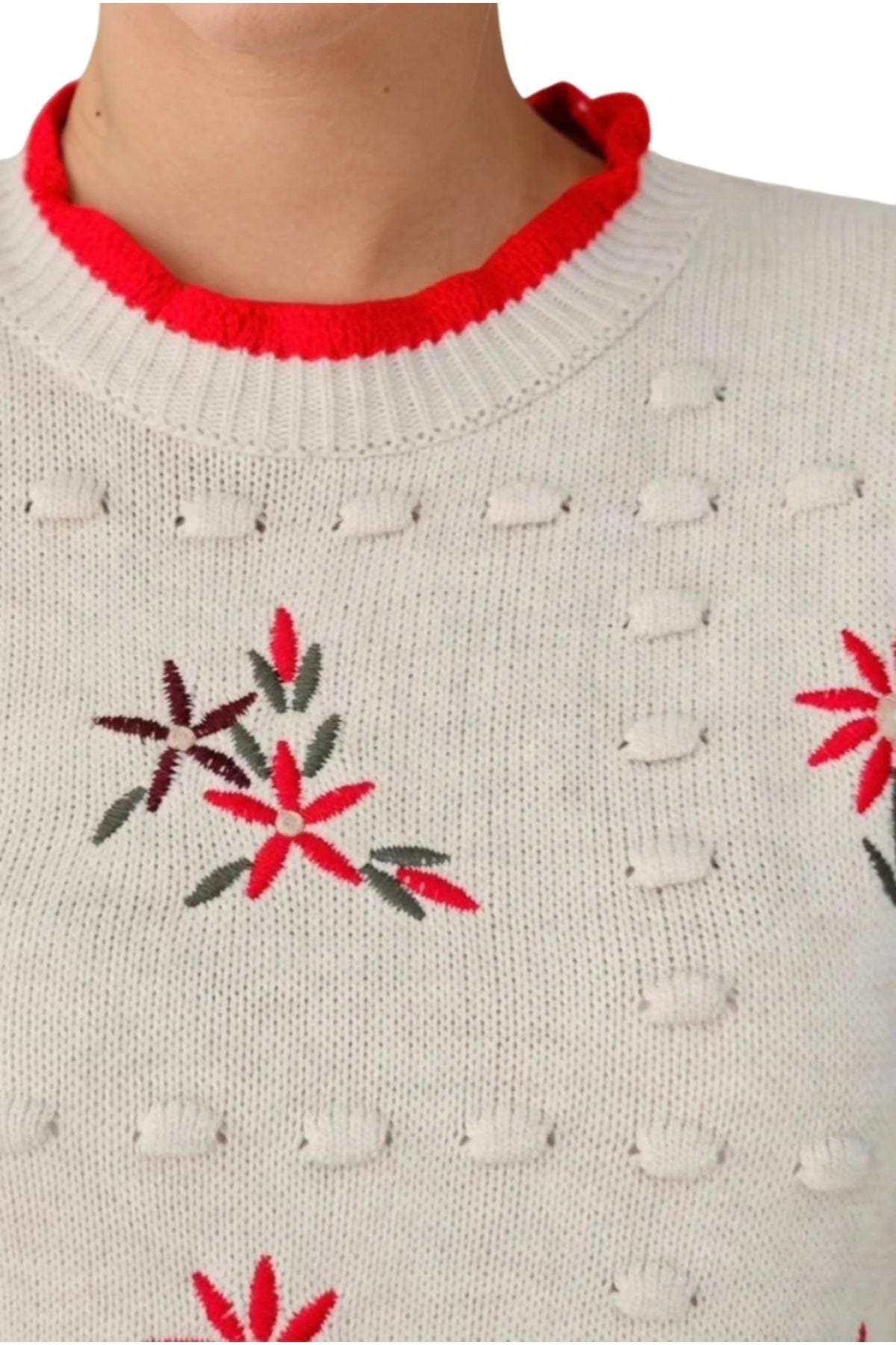 Chelsea Women's Floral Embroidered Crew Neck Sweater - Light Beige with Red Floral Embroidery
