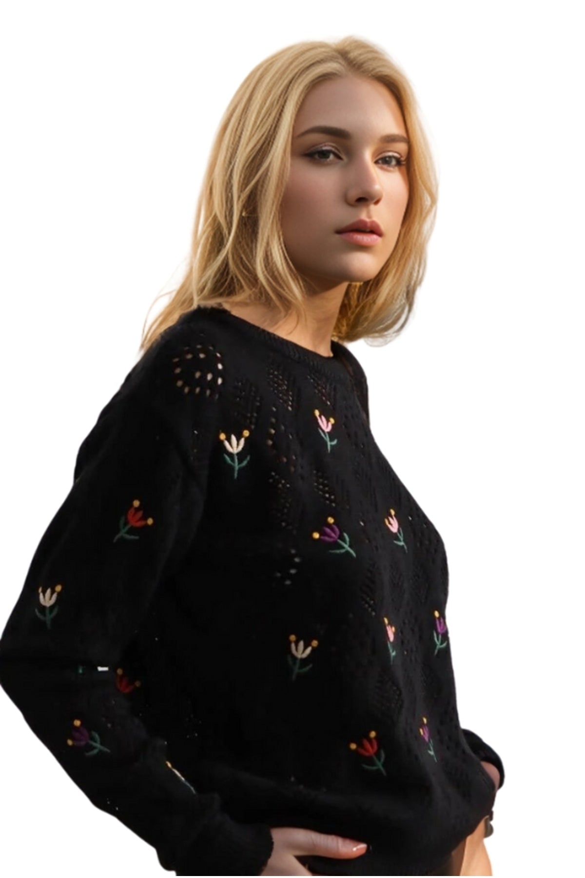 Rosalie Women's Floral Embroidered Openwork Sweater - Black